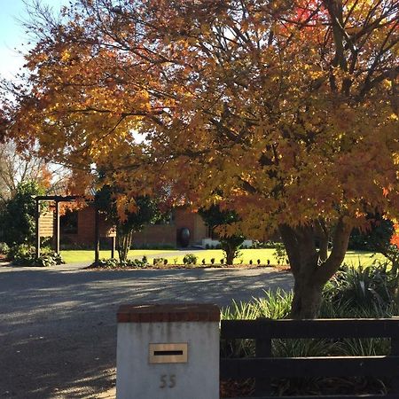 Maples On Harewood Bed and Breakfast Christchurch Buitenkant foto