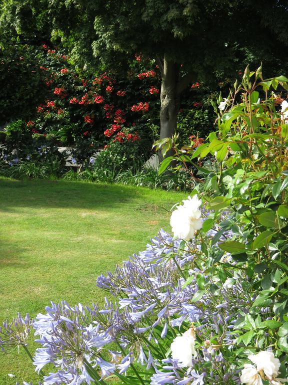 Maples On Harewood Bed and Breakfast Christchurch Buitenkant foto