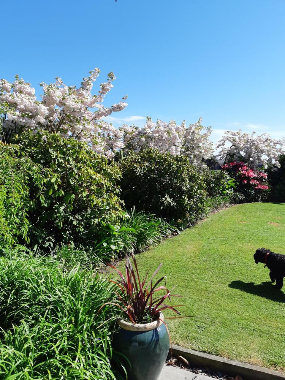 Maples On Harewood Bed and Breakfast Christchurch Buitenkant foto