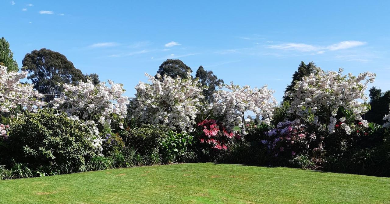 Maples On Harewood Bed and Breakfast Christchurch Buitenkant foto