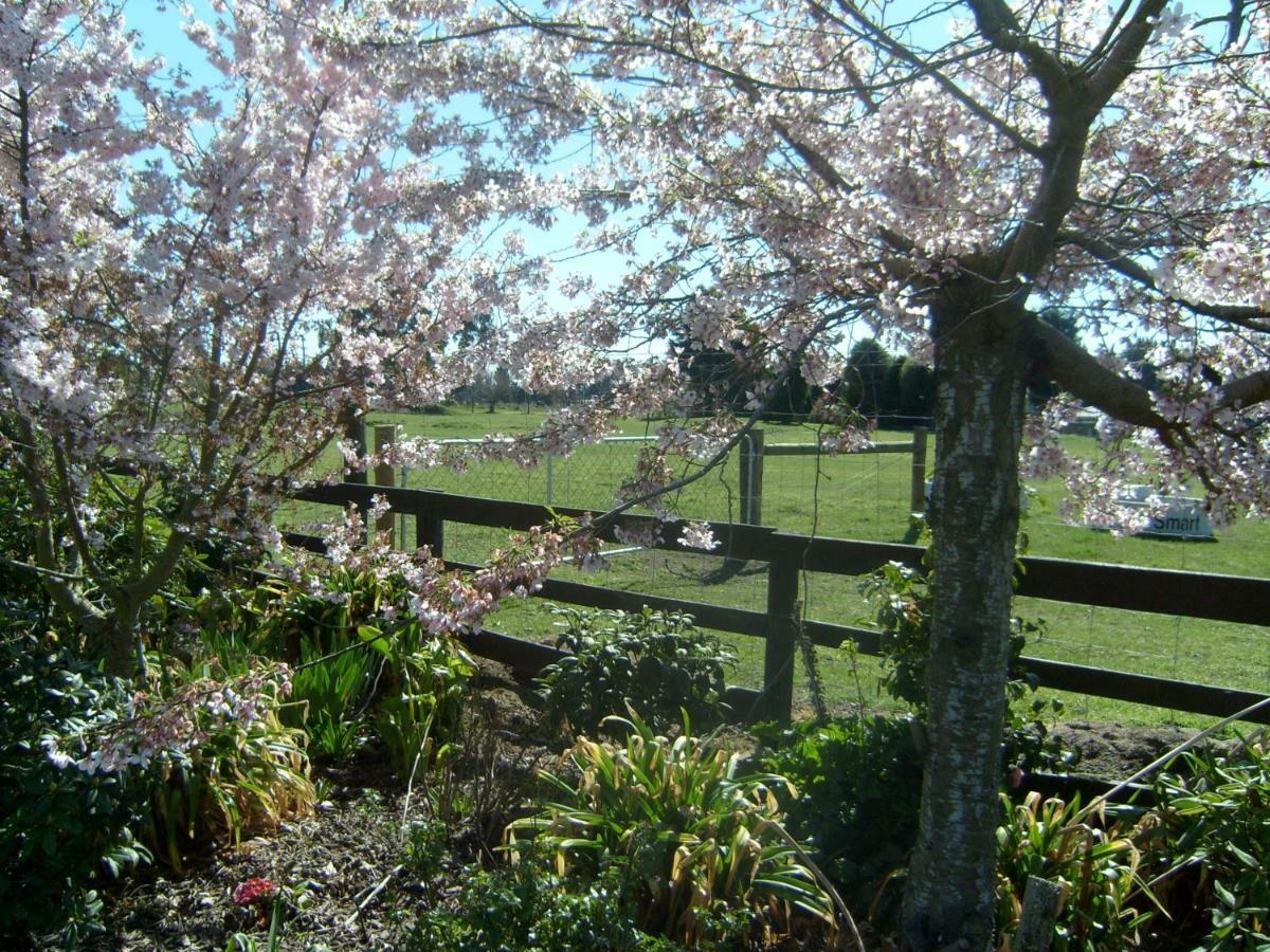 Maples On Harewood Bed and Breakfast Christchurch Buitenkant foto